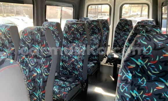 Buy Used Mercedes‒Benz Sprinter White Truck in Beitbridge in Matabeleland South Buy Used Mercedes‒Benz Sprinter White Truck in Beitbridge in Matabeleland South