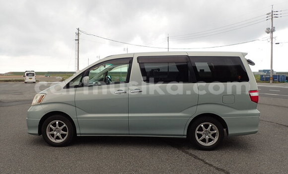 Tenga Tsaru Toyota Alphard Sirivha Mota in Beitbridge in Matabeleland South Tenga Tsaru Toyota Alphard Sirivha Mota in Beitbridge in Matabeleland South