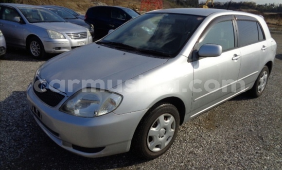 Acheter Occasion Voiture Toyota Runx Gris à Beitbridge, Matabeleland South