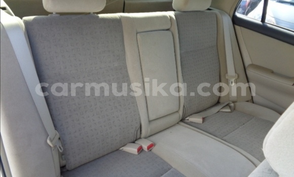 Buy Used Toyota Runx Silver Car in Beitbridge in Matabeleland South Buy Used Toyota Runx Silver Car in Beitbridge in Matabeleland South