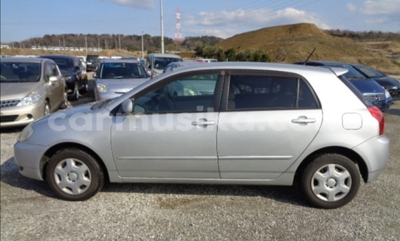 Buy Used Toyota Runx Silver Car in Beitbridge in Matabeleland South Buy Used Toyota Runx Silver Car in Beitbridge in Matabeleland South