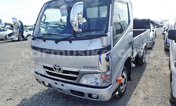 Tenga Tsaru Toyota Dyna Zvimwe Rori in Beitbridge in Matabeleland South
