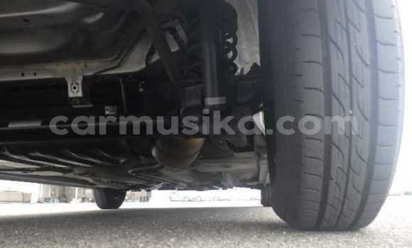 Acheter Occasion Voiture Toyota Passo Gris à Beitbridge, Matabeleland South Acheter Occasion Voiture Toyota Passo Gris à Beitbridge, Matabeleland South