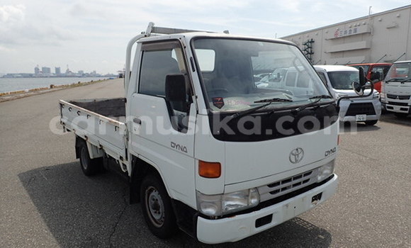 Acheter Occasion Utilitaire Toyota Dyna Blanc à Beitbridge, Matabeleland South Acheter Occasion Utilitaire Toyota Dyna Blanc à Beitbridge, Matabeleland South
