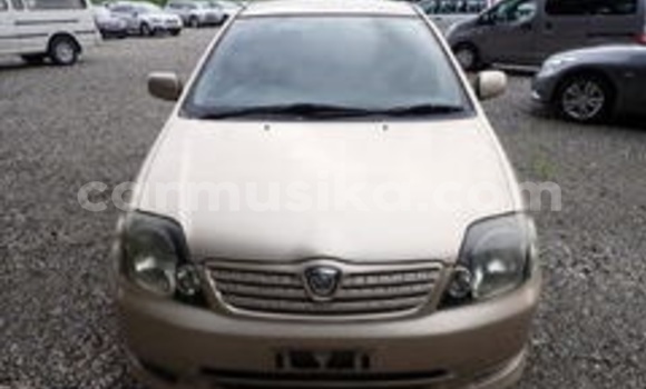 Acheter Occasion Voiture Toyota Allex Beige à Beitbridge, Matabeleland South