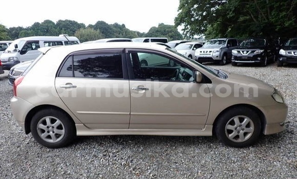 Nunua Ilio tumika Toyota Allex Beige Gari ndani ya Beitbridge nchini Matabeleland Kusini Nunua Ilio tumika Toyota Allex Beige Gari ndani ya Beitbridge nchini Matabeleland Kusini