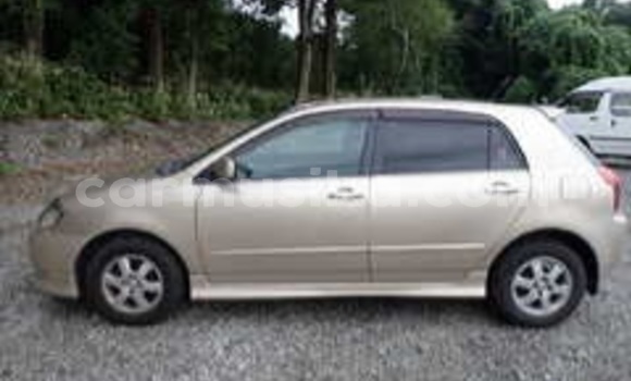 Nunua Ilio tumika Toyota Allex Beige Gari ndani ya Beitbridge nchini Matabeleland Kusini Nunua Ilio tumika Toyota Allex Beige Gari ndani ya Beitbridge nchini Matabeleland Kusini