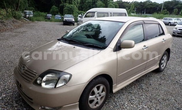 Nunua Ilio tumika Toyota Allex Beige Gari ndani ya Beitbridge nchini Matabeleland Kusini Nunua Ilio tumika Toyota Allex Beige Gari ndani ya Beitbridge nchini Matabeleland Kusini