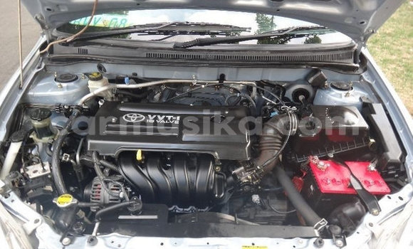 Acheter Occasion Voiture Toyota Runx Bleu à Beitbridge, Matabeleland South Acheter Occasion Voiture Toyota Runx Bleu à Beitbridge, Matabeleland South