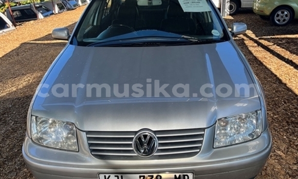 Tenga Tsaru Volkswagen Beetle Zvimwe Mota in Beitbridge in Matabeleland South Tenga Tsaru Volkswagen Beetle Zvimwe Mota in Beitbridge in Matabeleland South