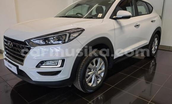 Buy Used Hyundai Tucson White Car in Beitbridge in Matabeleland South