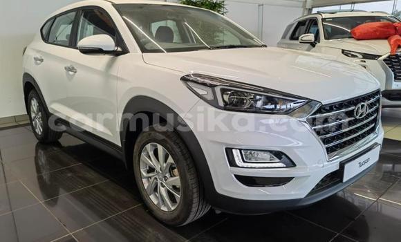 Acheter Occasion Voiture Hyundai Tucson Blanc à Beitbridge, Matabeleland South Acheter Occasion Voiture Hyundai Tucson Blanc à Beitbridge, Matabeleland South