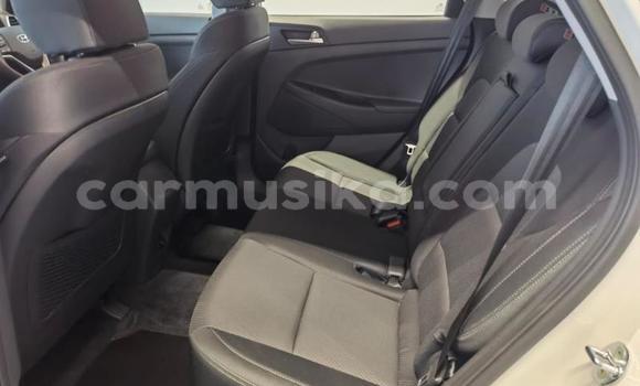 Acheter Occasion Voiture Hyundai Tucson Blanc à Beitbridge, Matabeleland South Acheter Occasion Voiture Hyundai Tucson Blanc à Beitbridge, Matabeleland South