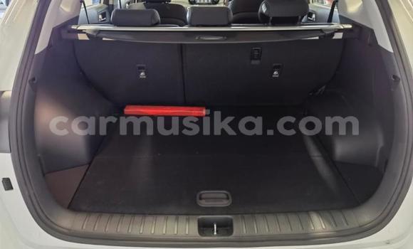 Acheter Occasion Voiture Hyundai Tucson Blanc à Beitbridge, Matabeleland South Acheter Occasion Voiture Hyundai Tucson Blanc à Beitbridge, Matabeleland South