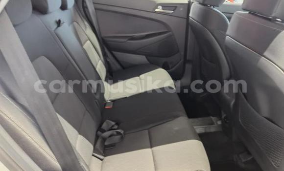Acheter Occasion Voiture Hyundai Tucson Blanc à Beitbridge, Matabeleland South Acheter Occasion Voiture Hyundai Tucson Blanc à Beitbridge, Matabeleland South