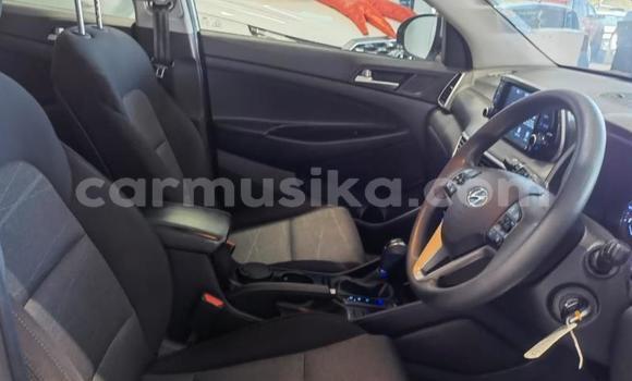 Acheter Occasion Voiture Hyundai Tucson Blanc à Beitbridge, Matabeleland South Acheter Occasion Voiture Hyundai Tucson Blanc à Beitbridge, Matabeleland South