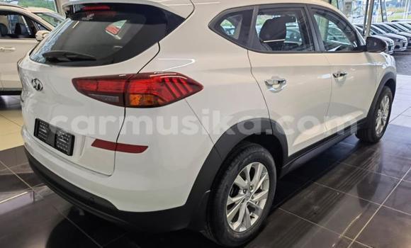 Acheter Occasion Voiture Hyundai Tucson Blanc à Beitbridge, Matabeleland South Acheter Occasion Voiture Hyundai Tucson Blanc à Beitbridge, Matabeleland South
