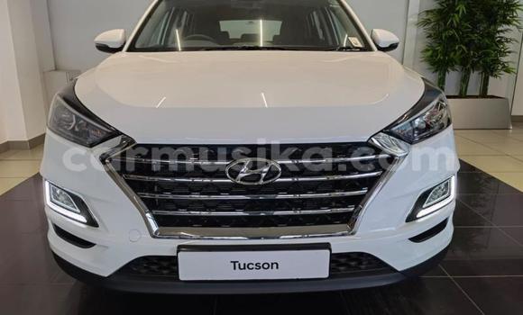 Acheter Occasion Voiture Hyundai Tucson Blanc à Beitbridge, Matabeleland South Acheter Occasion Voiture Hyundai Tucson Blanc à Beitbridge, Matabeleland South