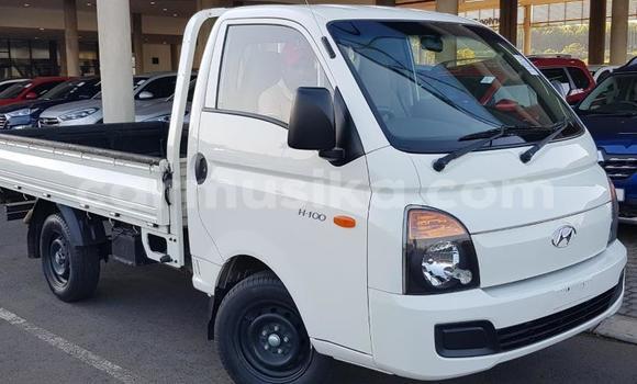 Buy Used Hyundai H200 White Car in Beitbridge in Matabeleland South