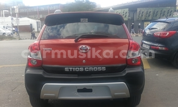 Buy Used Toyota Etios Red Car in Beitbridge in Matabeleland South