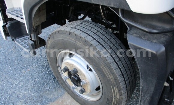 Tenga Tsaru DAF CF Chena Rori in Beitbridge in Matabeleland South Tenga Tsaru DAF CF Chena Rori in Beitbridge in Matabeleland South