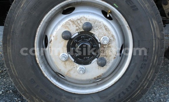 Tenga Tsaru DAF CF Chena Rori in Beitbridge in Matabeleland South Tenga Tsaru DAF CF Chena Rori in Beitbridge in Matabeleland South