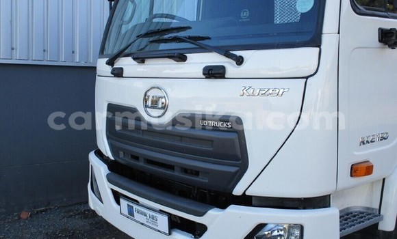 Tenga Tsaru DAF CF Chena Rori in Beitbridge in Matabeleland South Tenga Tsaru DAF CF Chena Rori in Beitbridge in Matabeleland South