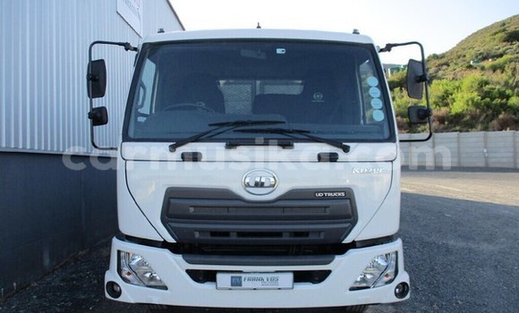 Tenga Tsaru DAF CF Chena Rori in Beitbridge in Matabeleland South Tenga Tsaru DAF CF Chena Rori in Beitbridge in Matabeleland South