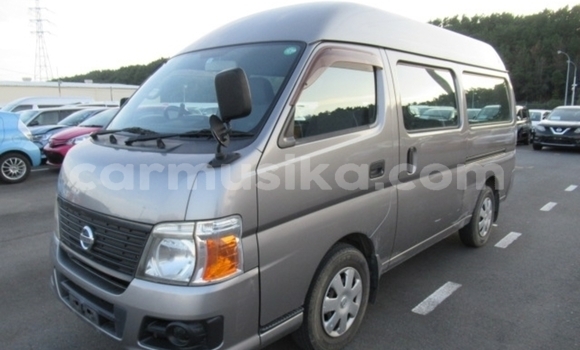 Tenga Tsaru Nissan Caravan Zvimwe Mota in Beitbridge in Matabeleland South