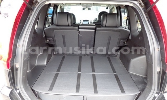 Tenga Tsaru Nissan X–Trail Nhema Mota in Beitbridge in Matabeleland South Tenga Tsaru Nissan X–Trail Nhema Mota in Beitbridge in Matabeleland South