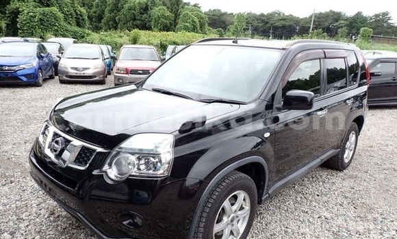 Tenga Tsaru Nissan X–Trail Nhema Mota in Beitbridge in Matabeleland South Tenga Tsaru Nissan X–Trail Nhema Mota in Beitbridge in Matabeleland South