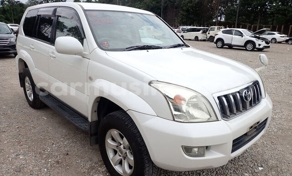 Tenga Tsaru Toyota Land Cruiser Prado Chena Mota in Harare in Harare