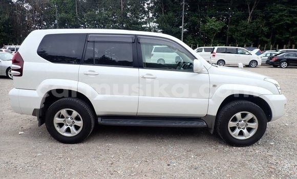 Buy Used Toyota Land Cruiser Prado White Car in Harare in Harare Buy Used Toyota Land Cruiser Prado White Car in Harare in Harare