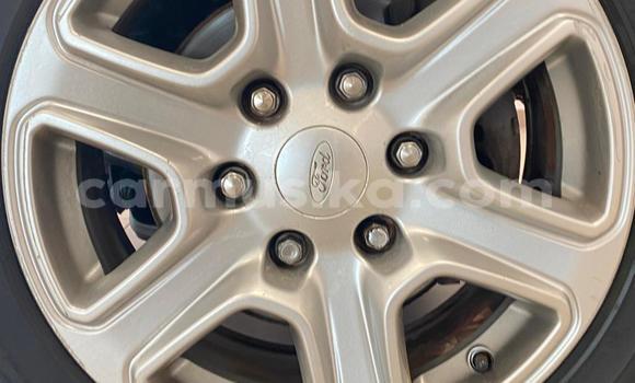 Tenga Tsaru Ford Ranger Zvimwe Mota in Beitbridge in Matabeleland South Tenga Tsaru Ford Ranger Zvimwe Mota in Beitbridge in Matabeleland South