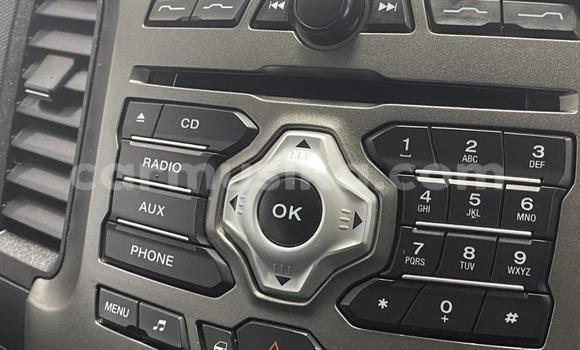 Tenga Tsaru Ford Ranger Zvimwe Mota in Beitbridge in Matabeleland South Tenga Tsaru Ford Ranger Zvimwe Mota in Beitbridge in Matabeleland South