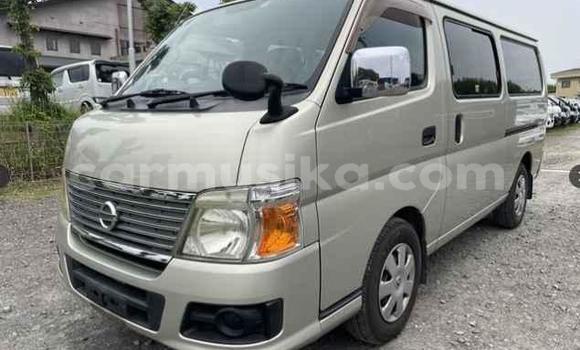 Acheter Occasion Voiture Nissan Caravan Gris à Beitbridge, Matabeleland South Acheter Occasion Voiture Nissan Caravan Gris à Beitbridge, Matabeleland South