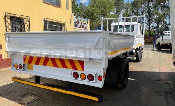 Buy Used Hino 300 Series White Truck in Beitbridge in Matabeleland South Buy Used Hino 300 Series White Truck in Beitbridge in Matabeleland South