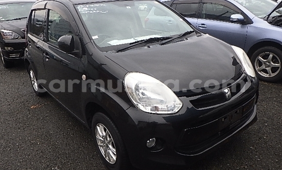 Buy Used Toyota Passo Black Car in Beitbridge in Matabeleland South