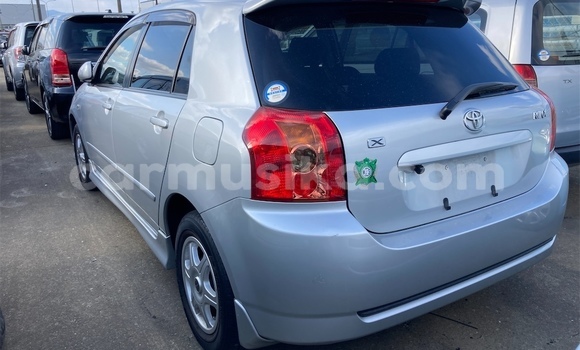 Buy Used Toyota Allex Silver Car in Beitbridge in Matabeleland South Buy Used Toyota Allex Silver Car in Beitbridge in Matabeleland South