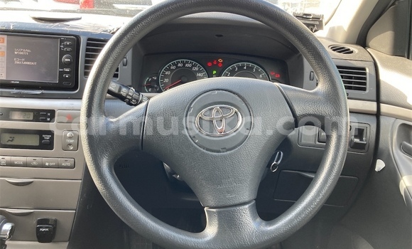 Buy Used Toyota Allex Silver Car in Beitbridge in Matabeleland South Buy Used Toyota Allex Silver Car in Beitbridge in Matabeleland South