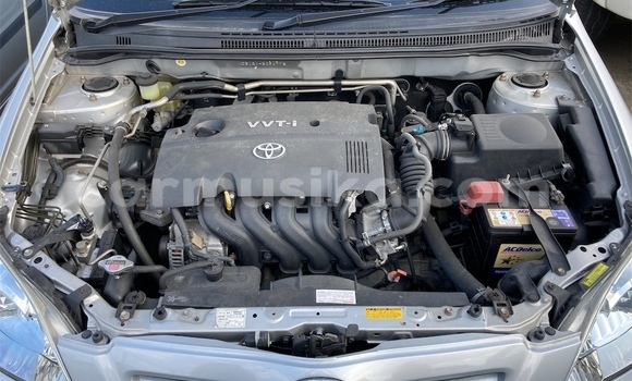 Buy Used Toyota Allex Silver Car in Beitbridge in Matabeleland South Buy Used Toyota Allex Silver Car in Beitbridge in Matabeleland South