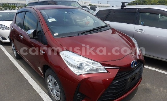 Buy Used Toyota Vitz Red Car in Beitbridge in Matabeleland South