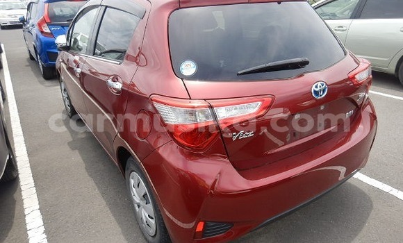 Nunua Ilio tumika Toyota Vitz Nyekundu Gari ndani ya Beitbridge nchini Matabeleland Kusini Nunua Ilio tumika Toyota Vitz Nyekundu Gari ndani ya Beitbridge nchini Matabeleland Kusini