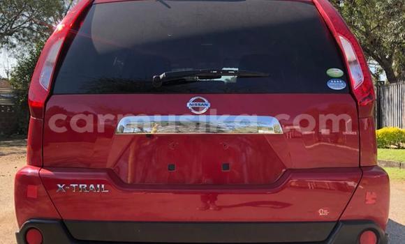 Tenga Tsaru Nissan XāTrail Tsvuku Mota in Harare in Harare Tenga Tsaru Nissan XāTrail Tsvuku Mota in Harare in Harare