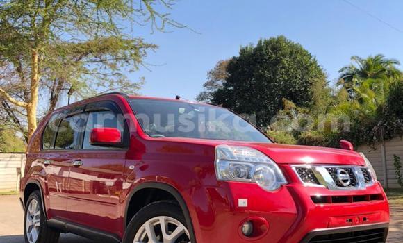 Tenga Tsaru Nissan XāTrail Tsvuku Mota in Harare in Harare Tenga Tsaru Nissan XāTrail Tsvuku Mota in Harare in Harare
