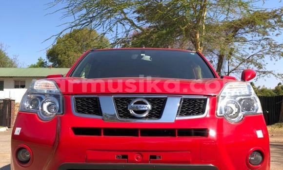Tenga Tsaru Nissan XāTrail Tsvuku Mota in Harare in Harare Tenga Tsaru Nissan XāTrail Tsvuku Mota in Harare in Harare