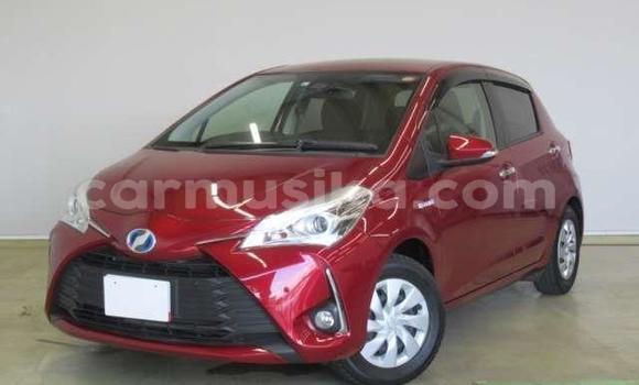 Tenga Tsaru Toyota Vitz Tsvuku Mota in Beitbridge in Matabeleland South