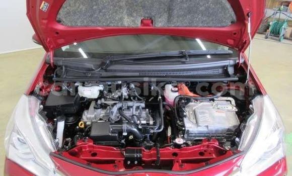 Acheter Occasion Voiture Toyota Vitz Rouge à Beitbridge, Matabeleland South Acheter Occasion Voiture Toyota Vitz Rouge à Beitbridge, Matabeleland South