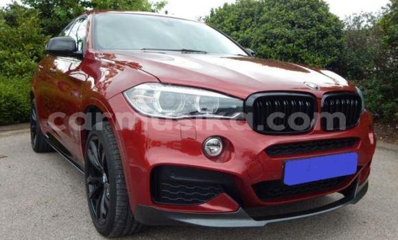 Buy Used BMW X6 Other Car in Beitbridge in Matabeleland South
