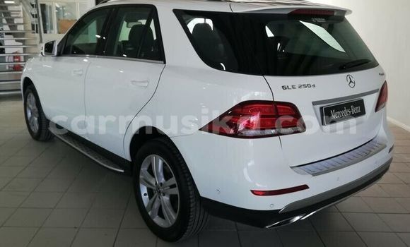Acheter Occasion Voiture Mercedes‒Benz AMG GLE Blanc à Beitbridge, Matabeleland South Acheter Occasion Voiture Mercedes‒Benz AMG GLE Blanc à Beitbridge, Matabeleland South
